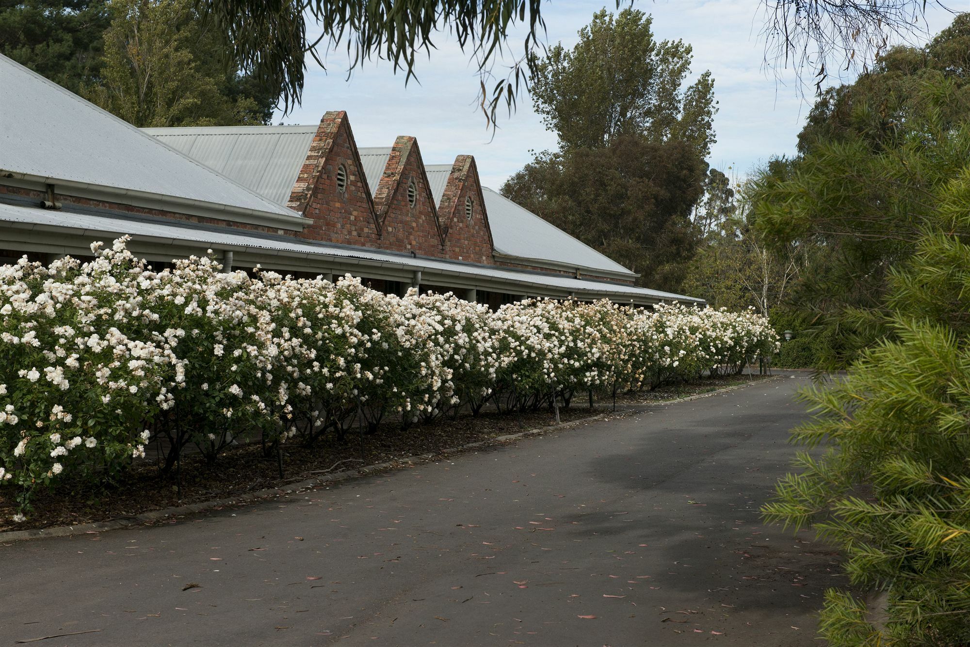 Mercure Ballarat Hotel & Convention Centre Bagian luar foto